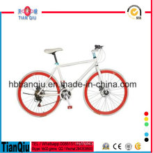 New Design Alloy 700c Fixed Gear Bike/Fixie Bicycle